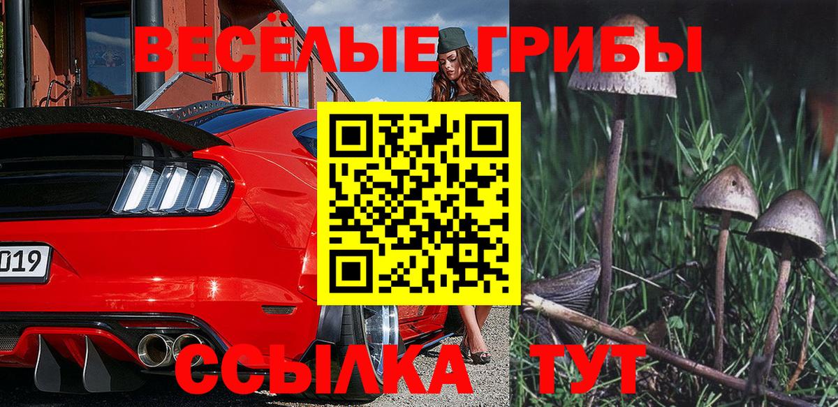 Первоуральск  Галлюциногенные грибы MAGIC MUSHROOMS  Вход с VPN  Галлюциногенные грибы Psilocybine cubensis 